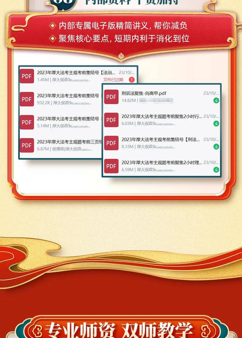 2025正版资料免费公开,专业执行问题_预测版196.54