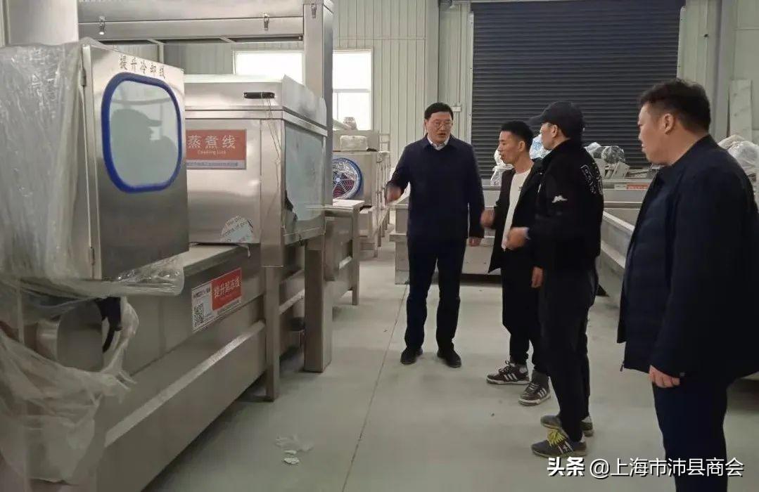 11月9日沛县最新招聘信息汇总与就业选择与观点探讨