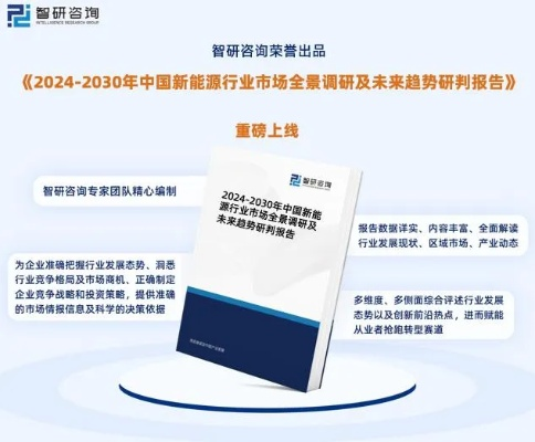 biannucejian 第12页