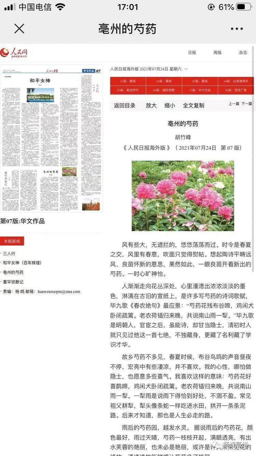 yuanfeichundong 第11页