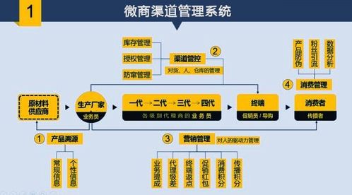 cancongniaodao 第12页