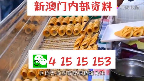 2025新澳门天天开好彩大全正版331期,全身心数据指导枕_PhabletFZW11.55
