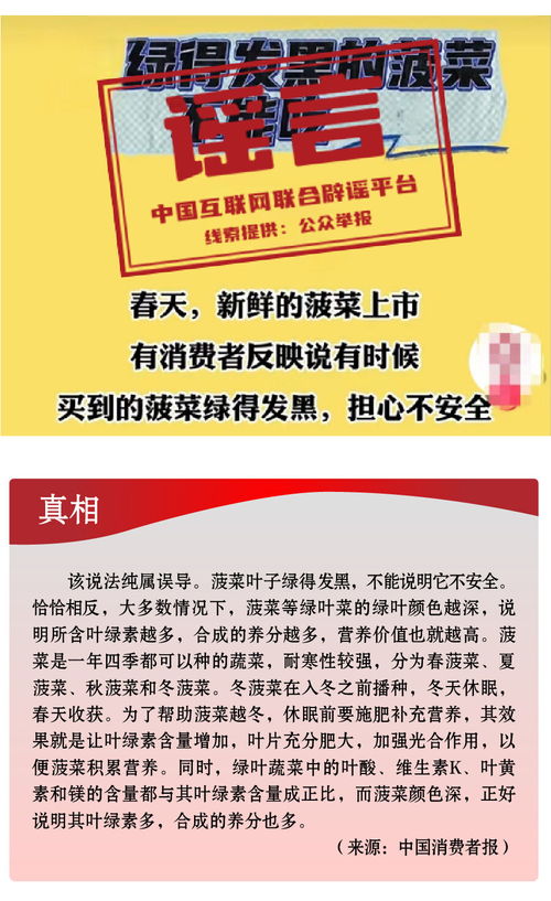 揭秘2025年祝塘最新招聘信息，把握未来职业发展的黄金机遇！