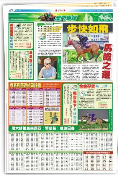 dayajunzi 第4页