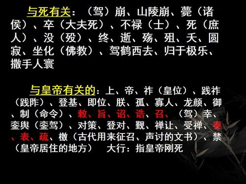 资料大全 第13页