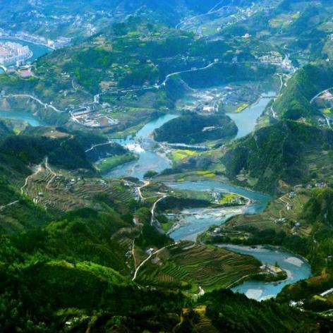 稀有山货药材排行榜TOP10